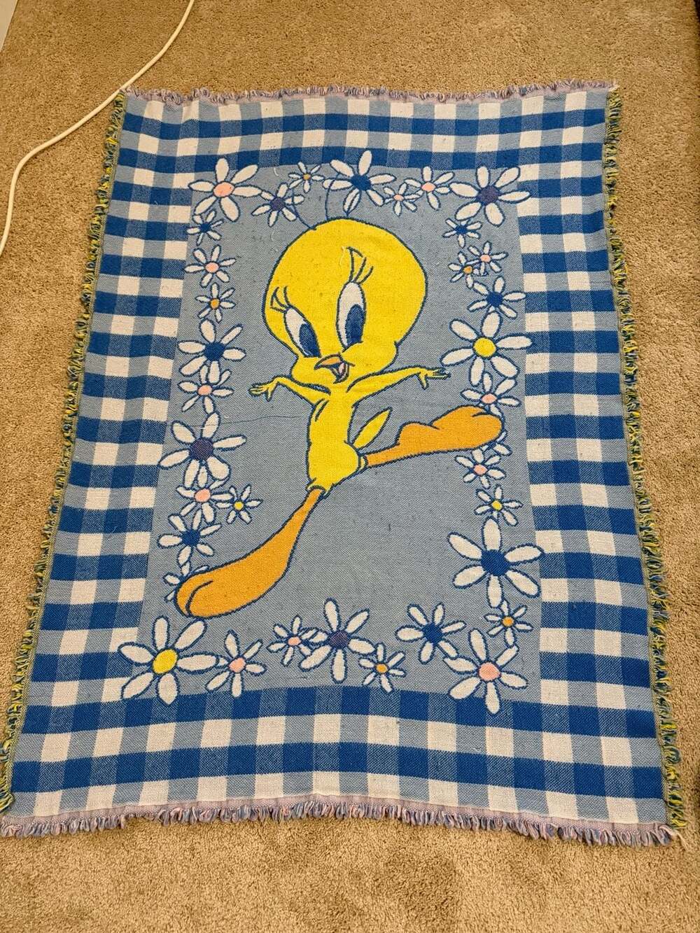 Vintage 1998 Warner Bros Looney Tunes Tweety Bird Woven Tapestry Blanket Gingham